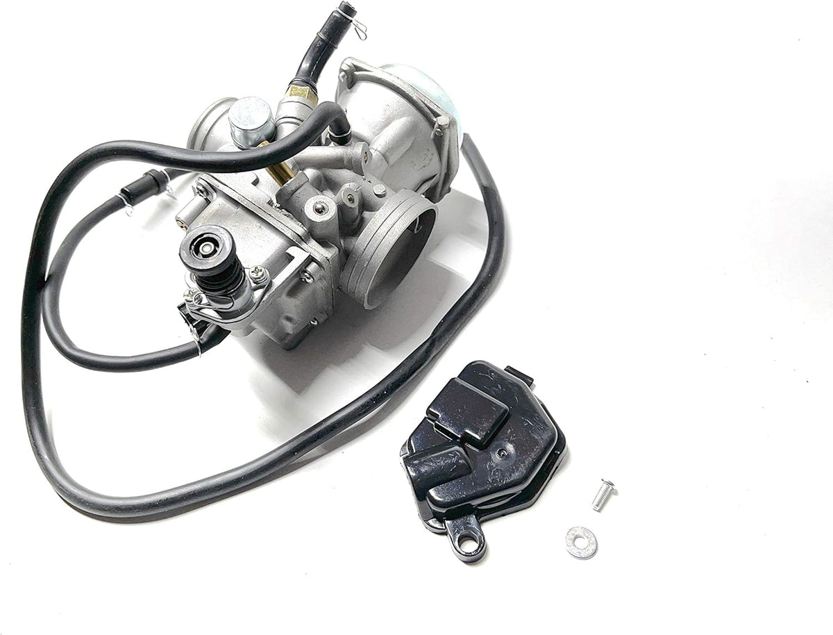 Carburetor Replacement Pack of 2 S396