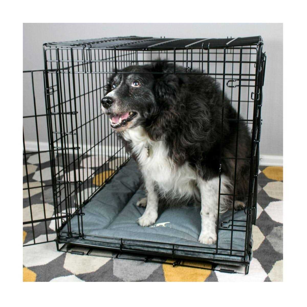 Dog Bed W74090