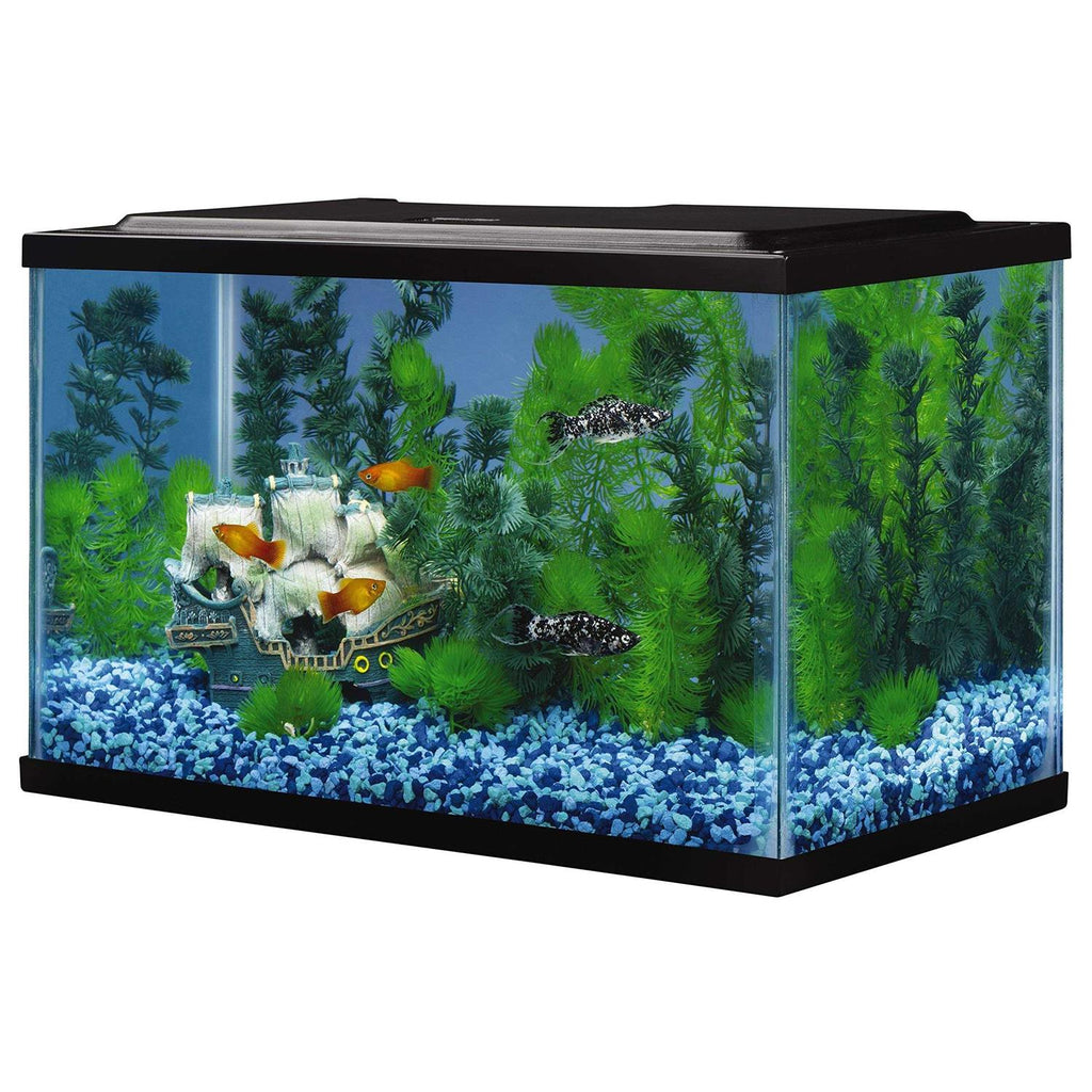 Glass Aquarium 5.5 Gallons Q32734