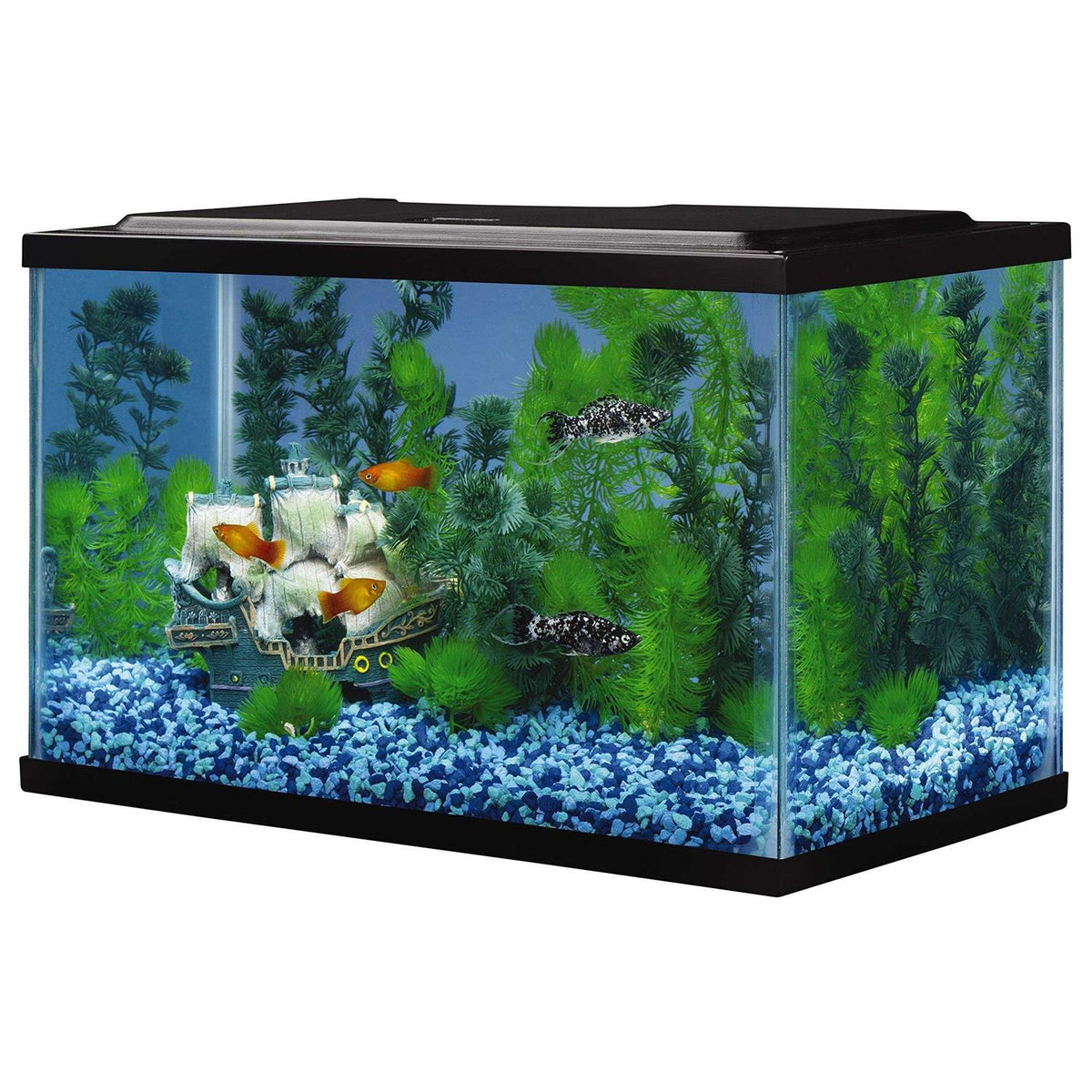 Glass Aquarium 5.5 Gallons Q32734