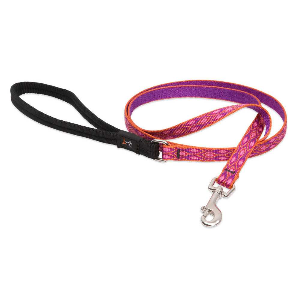 Leash Z80644