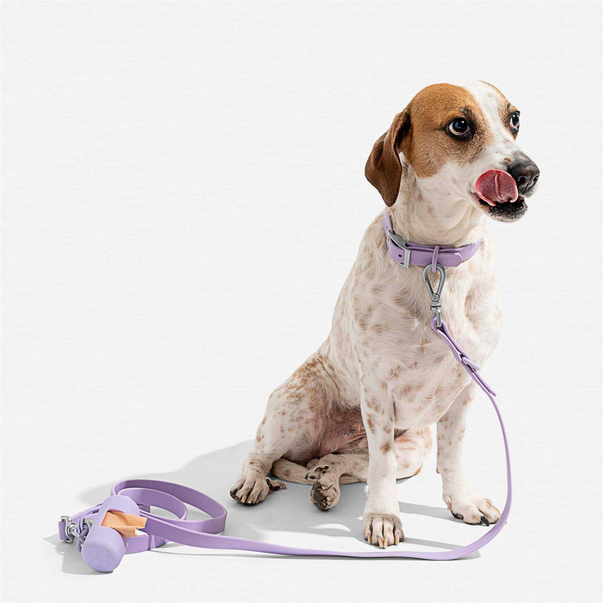Dog Collar E389934