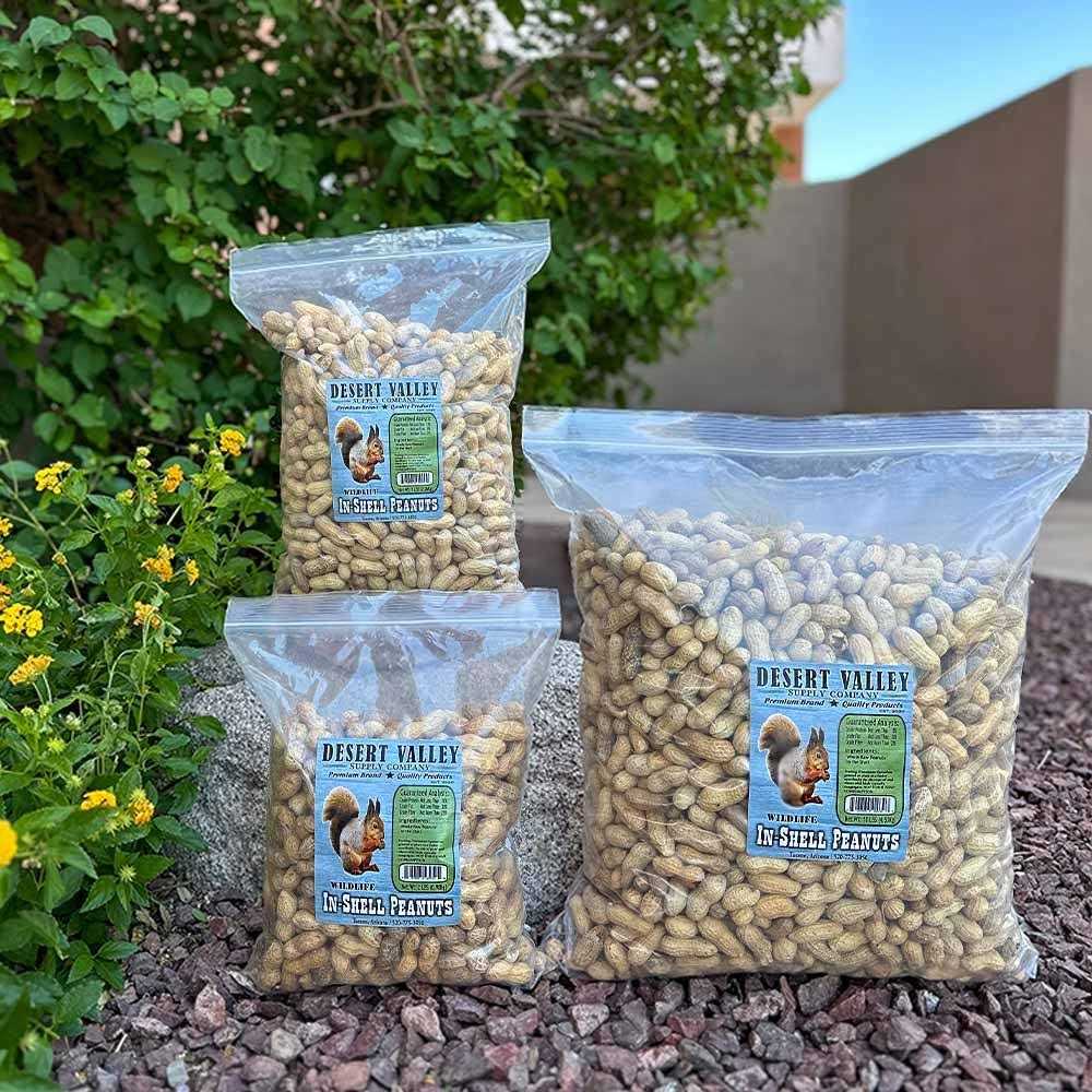 Peanuts in Shell T5656