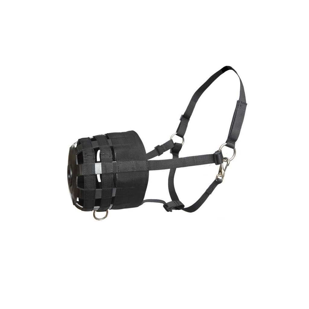 Nylon Halter Grazing Muzzle M169248