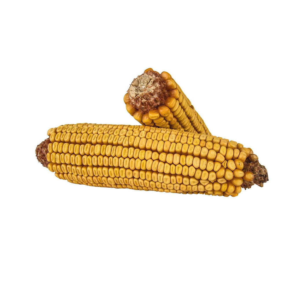 Corn On the Cob H86261