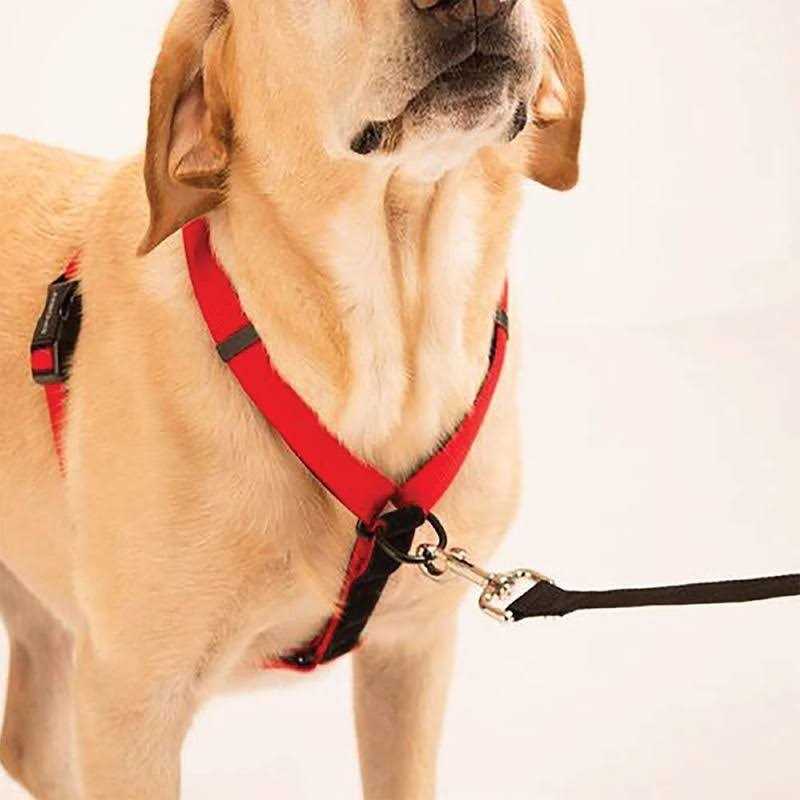 Ultimate Control Harness N415