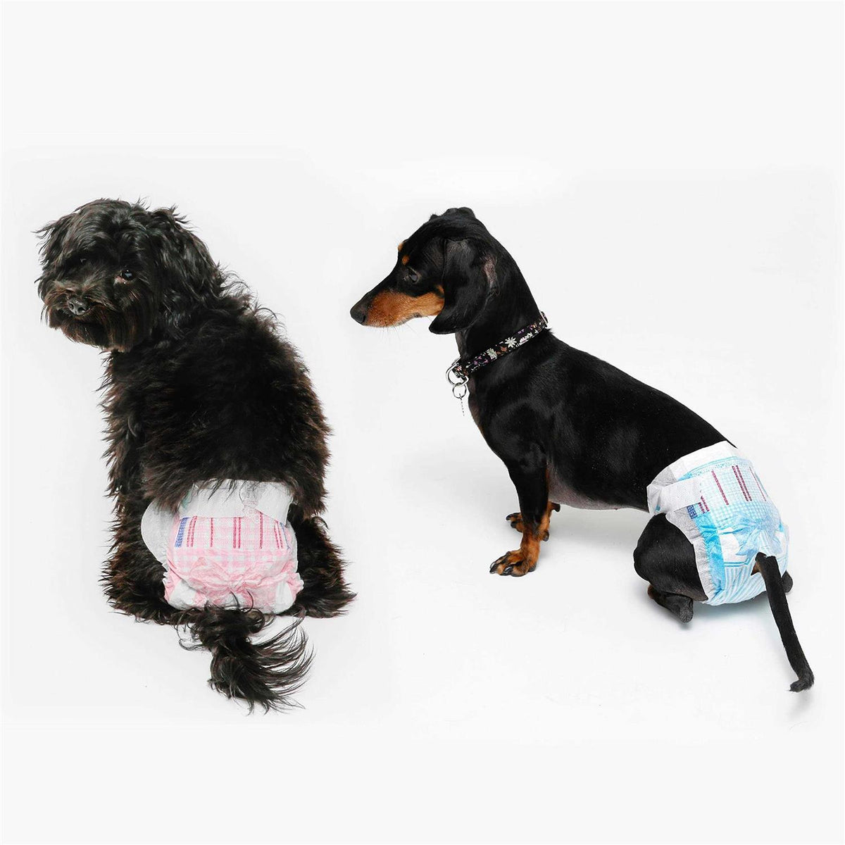 Disposable Dog Diapers C668792
