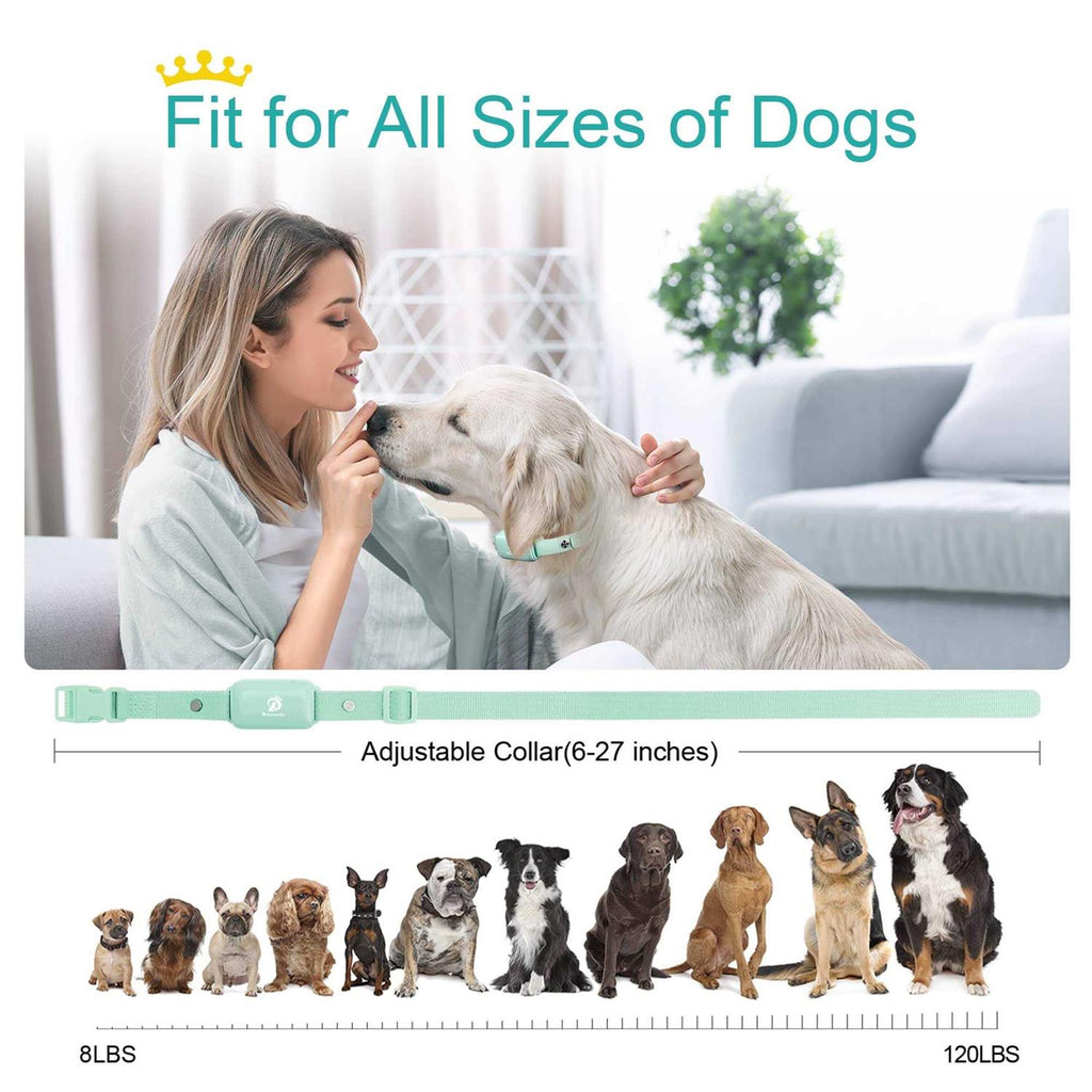 Waterproof Rechargeable Electric Dog Training Collar with Remote H662316