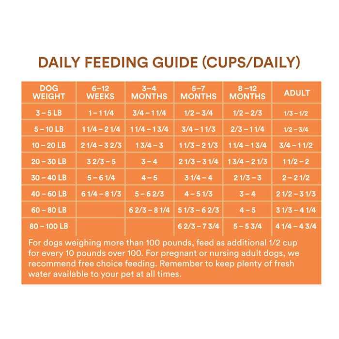 Chicken and Brown Rice Recipe Dry Puppy Food B738282