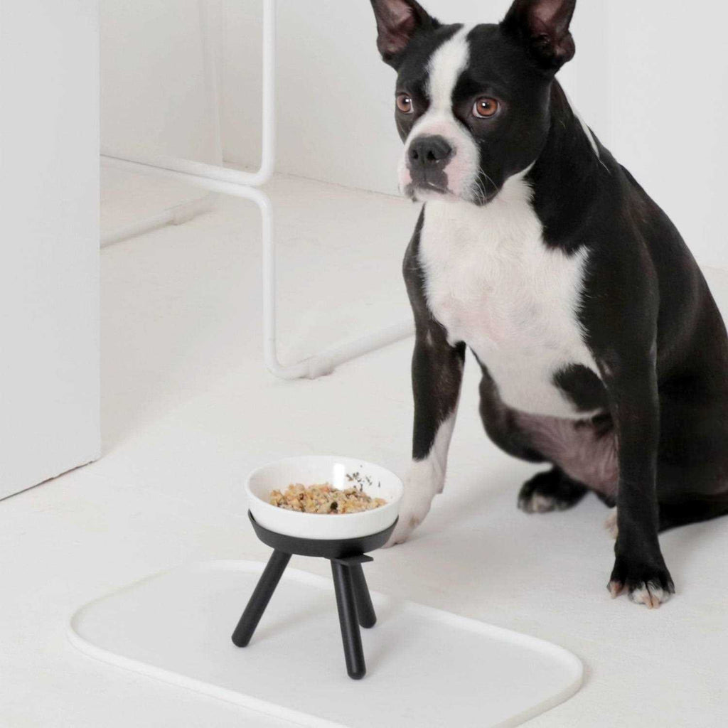Table Pets G84082