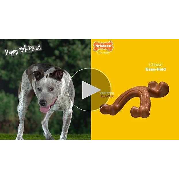 Chicken Chew Bone O24103