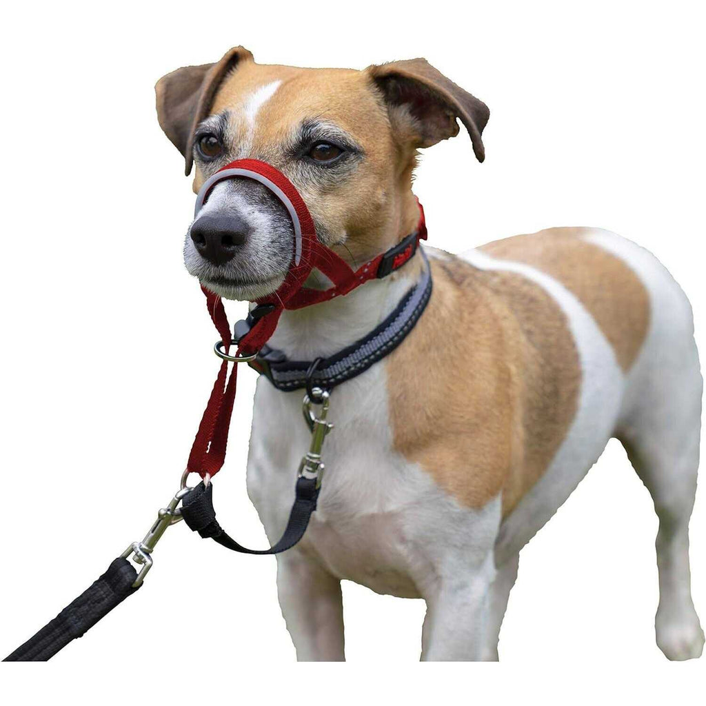 Dog Headcollar P126