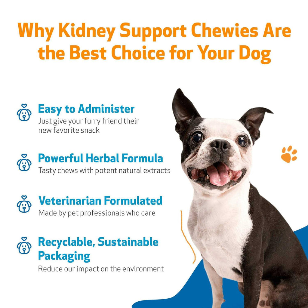 Kidney Support Chewies for Dogs B33961