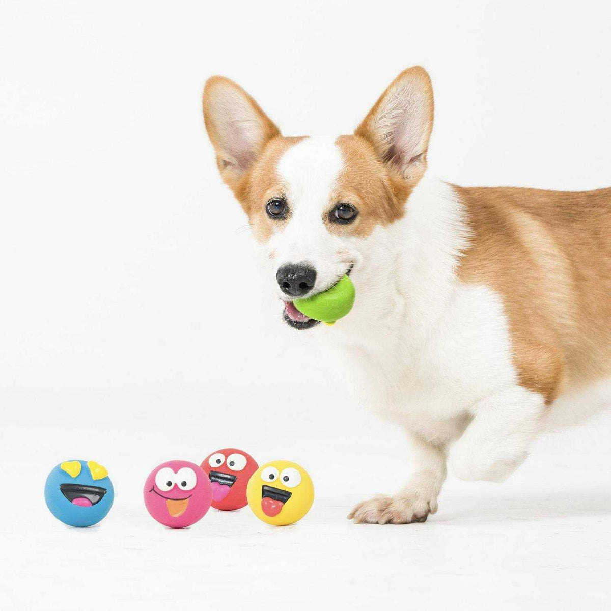 Dog Toys P241