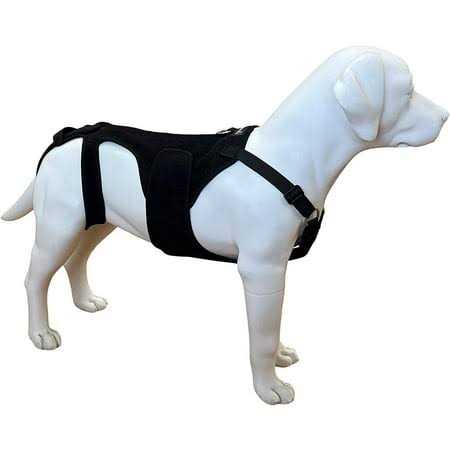 Dog Back Brace F586220