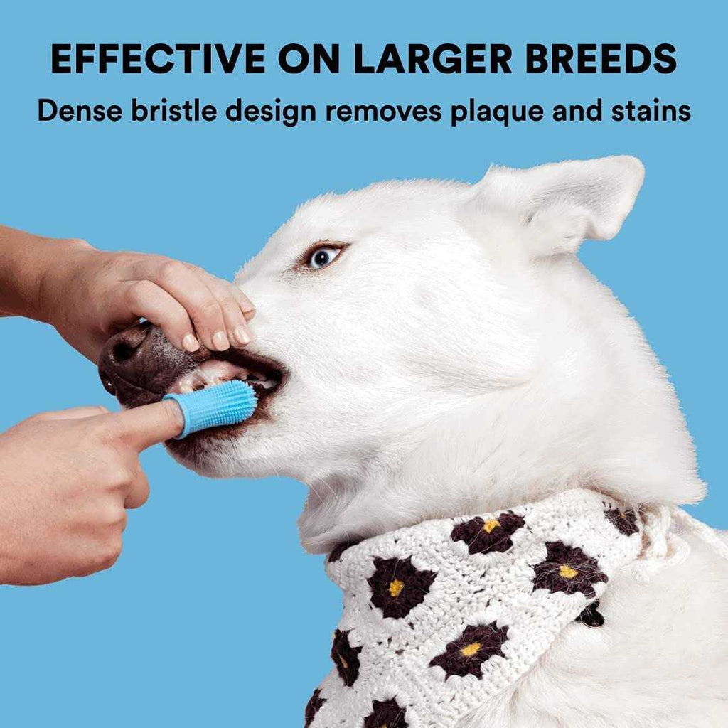 Dog Toothbrush J548782