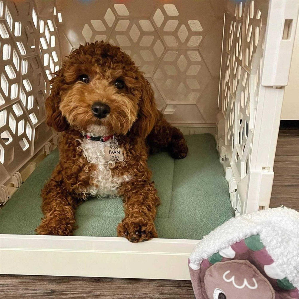 Cat and Dog Crate Pad M271932