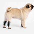 3-in-1 Short Rear Leg Support Small Dog Splint Braces V119