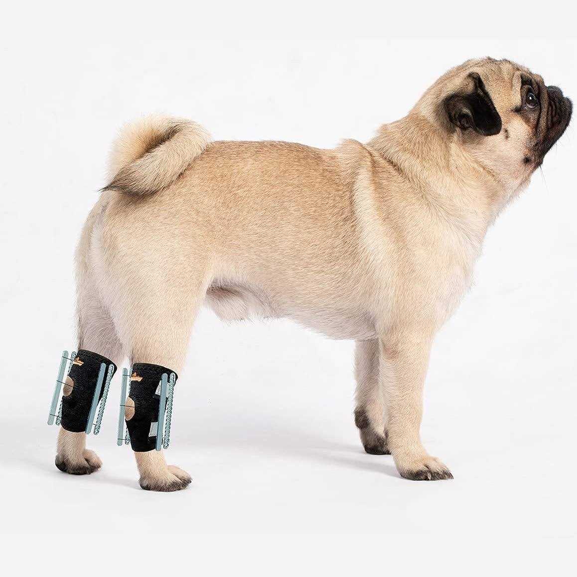 3-in-1 Short Rear Leg Support Small Dog Splint Braces V119