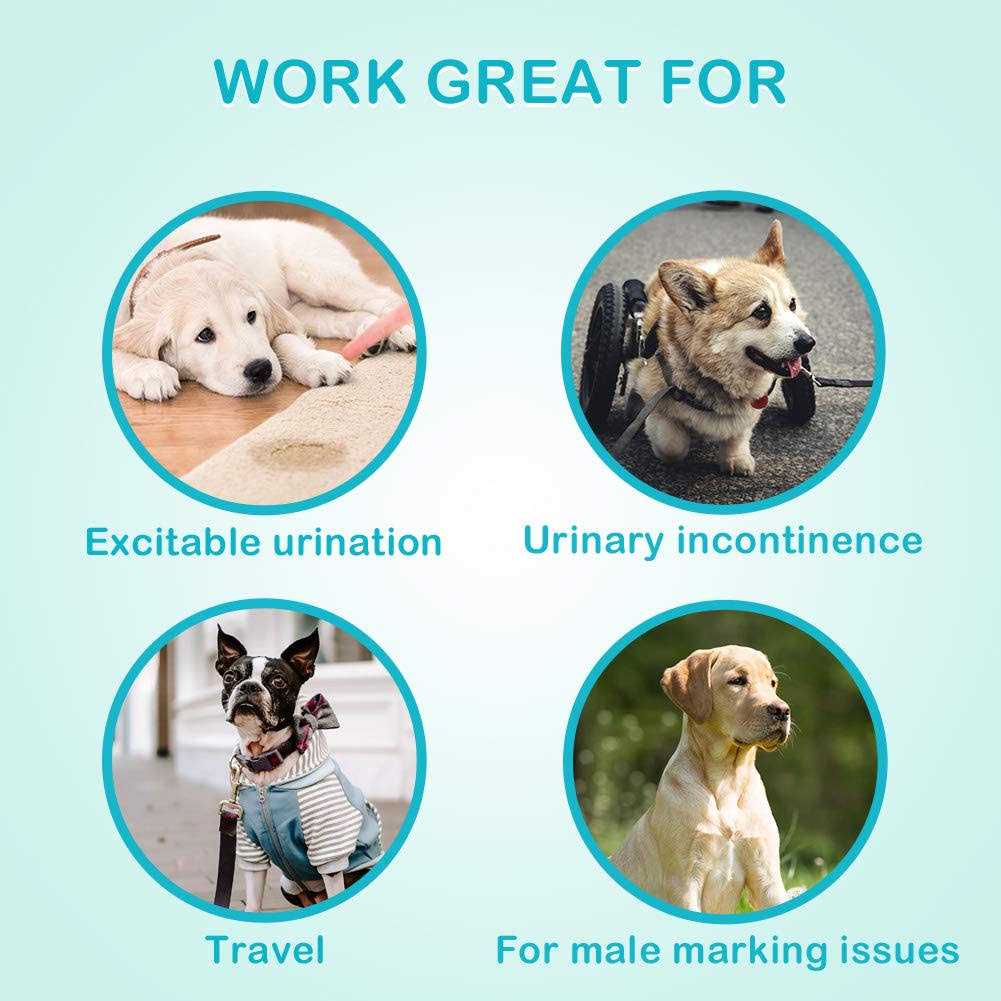 Absorbent Male Dog Wraps Belly Bands with Leak Protection C798
