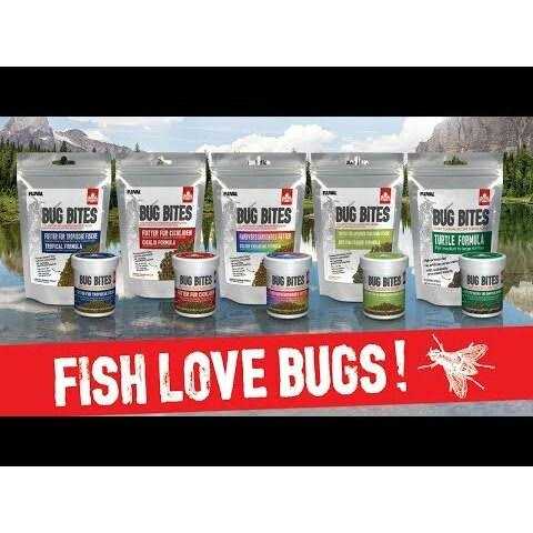 Cichlid Food B125068