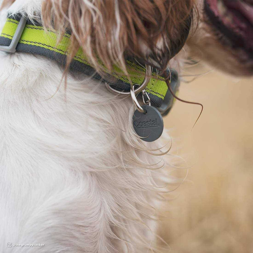 Dog ID Clip Q686