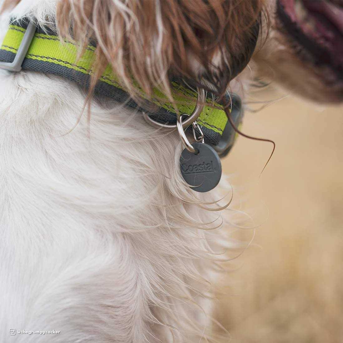 Dog ID Clip Q686