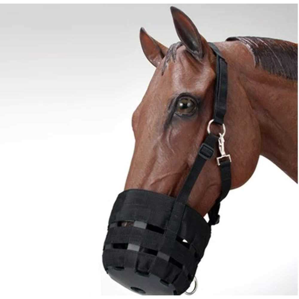 Nylon Halter Grazing Muzzle M169248