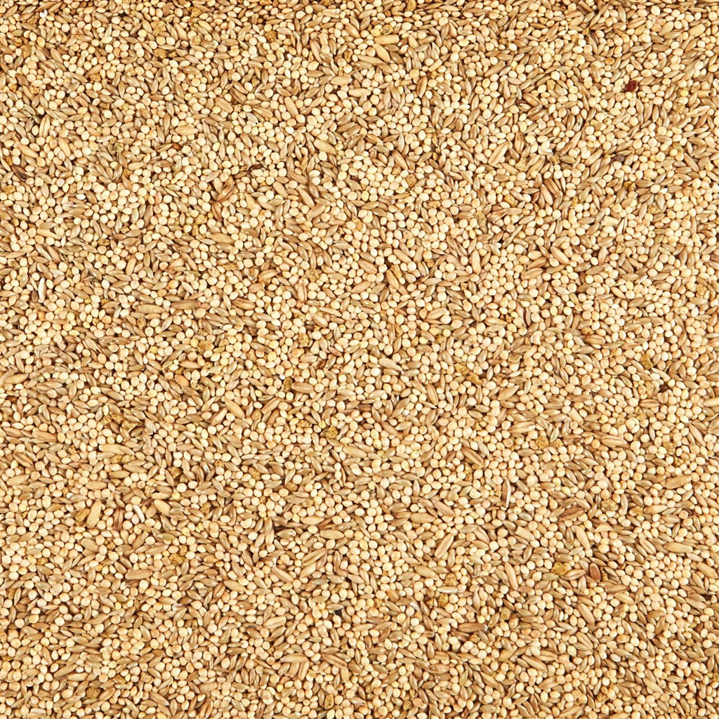 Parakeet Food K128