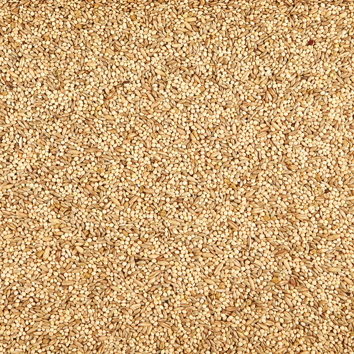 Parakeet Food K128