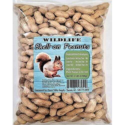 Peanuts in Shell T5656