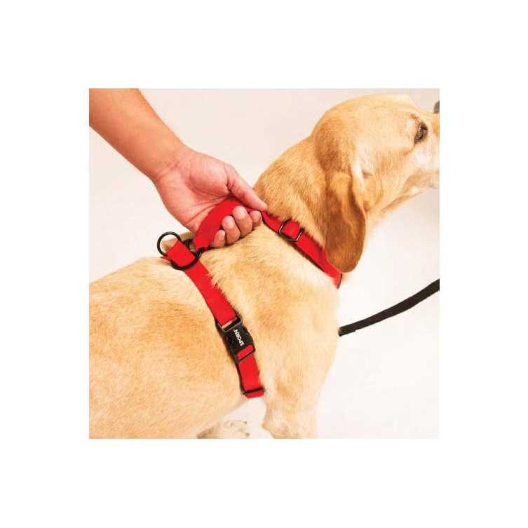 Ultimate Control Harness N415