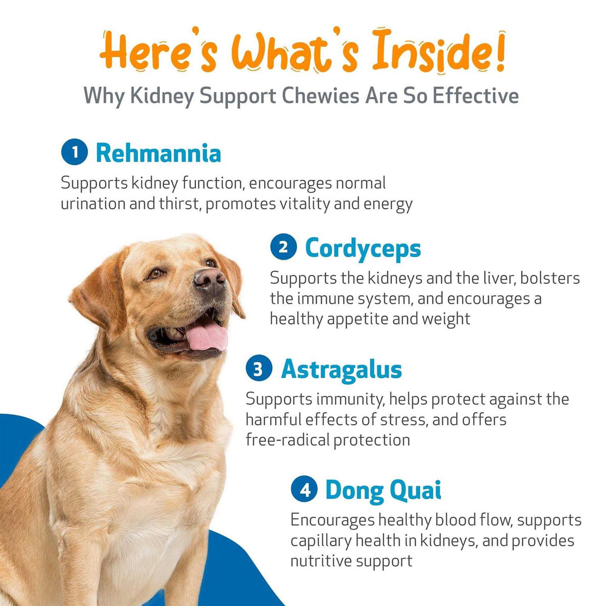 Kidney Support Chewies for Dogs B33961
