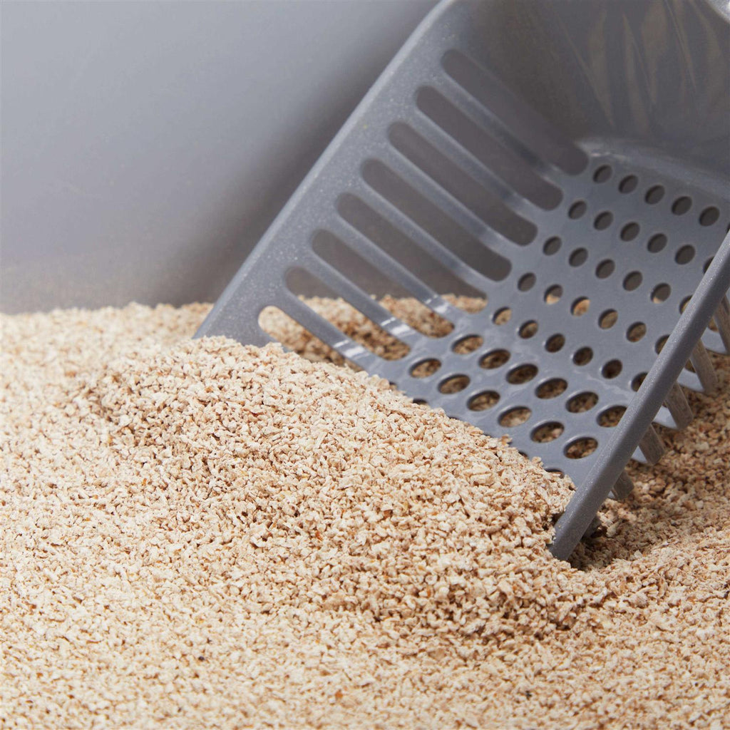 Unscented Clumping Grass Seed Cat Litter C995797
