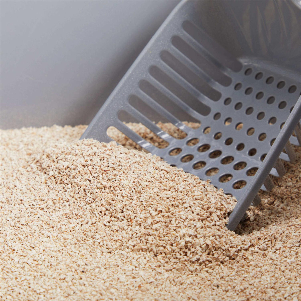 Unscented Clumping Grass Seed Cat Litter C995797