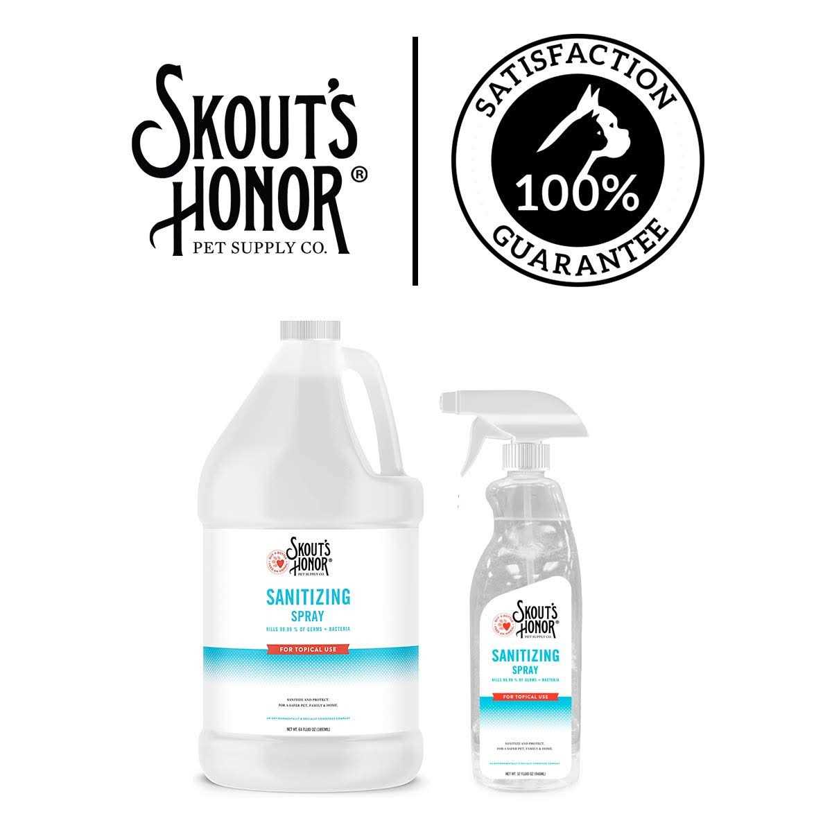 Sanitizing Spray X59377