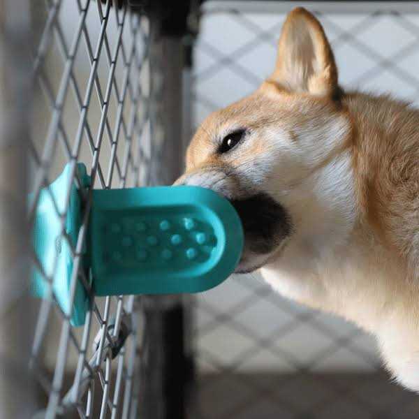 Dog Crate Training Aid P2603