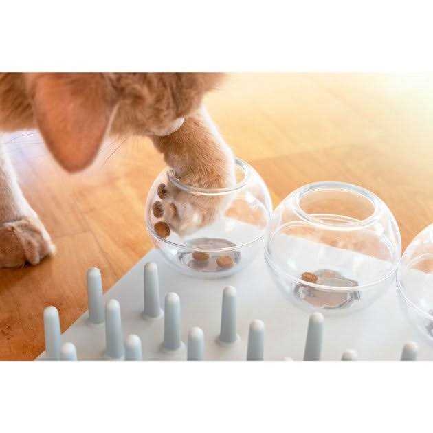 Cat Activity Fun Board X72819