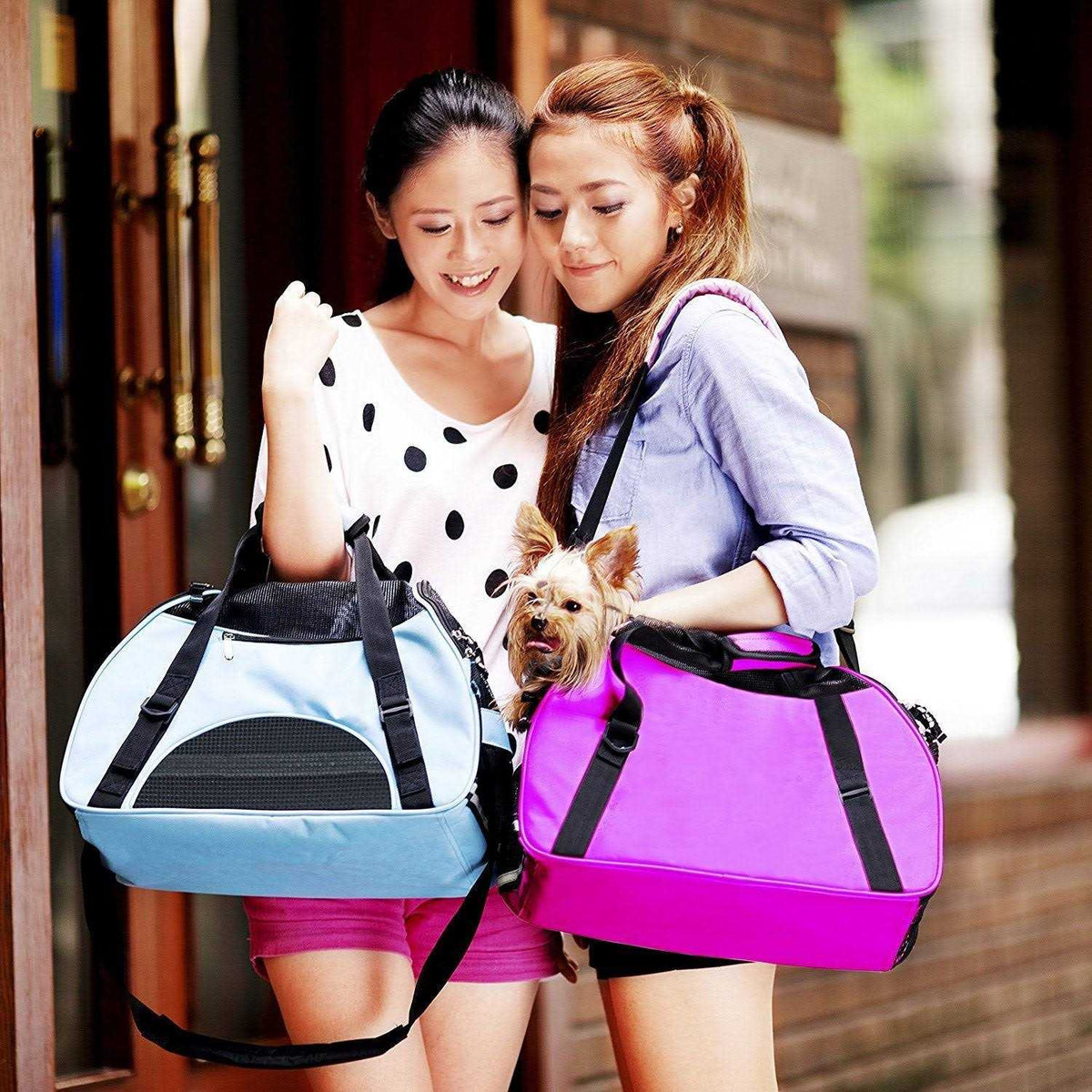 Soft-Sided Pet Travel Carrier L18901