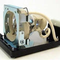 Replacement Lamp & Housing Projector Tv Lamp Bulb P169261