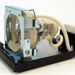 Replacement Lamp & Housing Projector Tv Lamp Bulb P169261