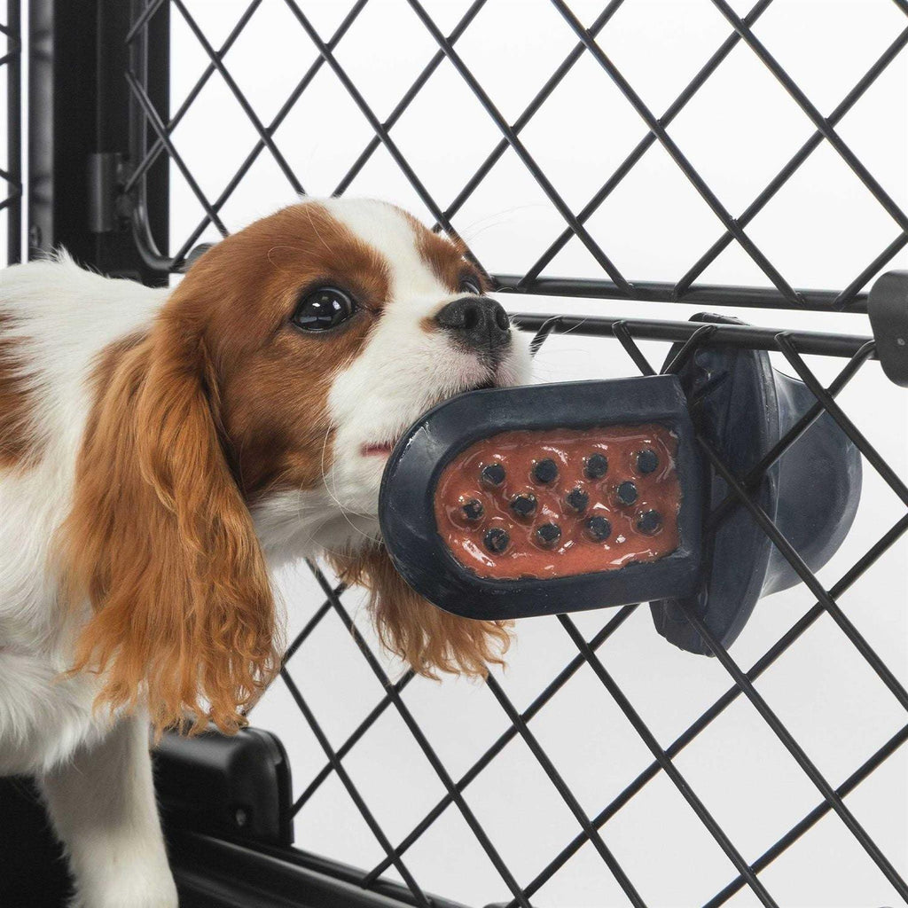 Dog Crate Training Aid P2603