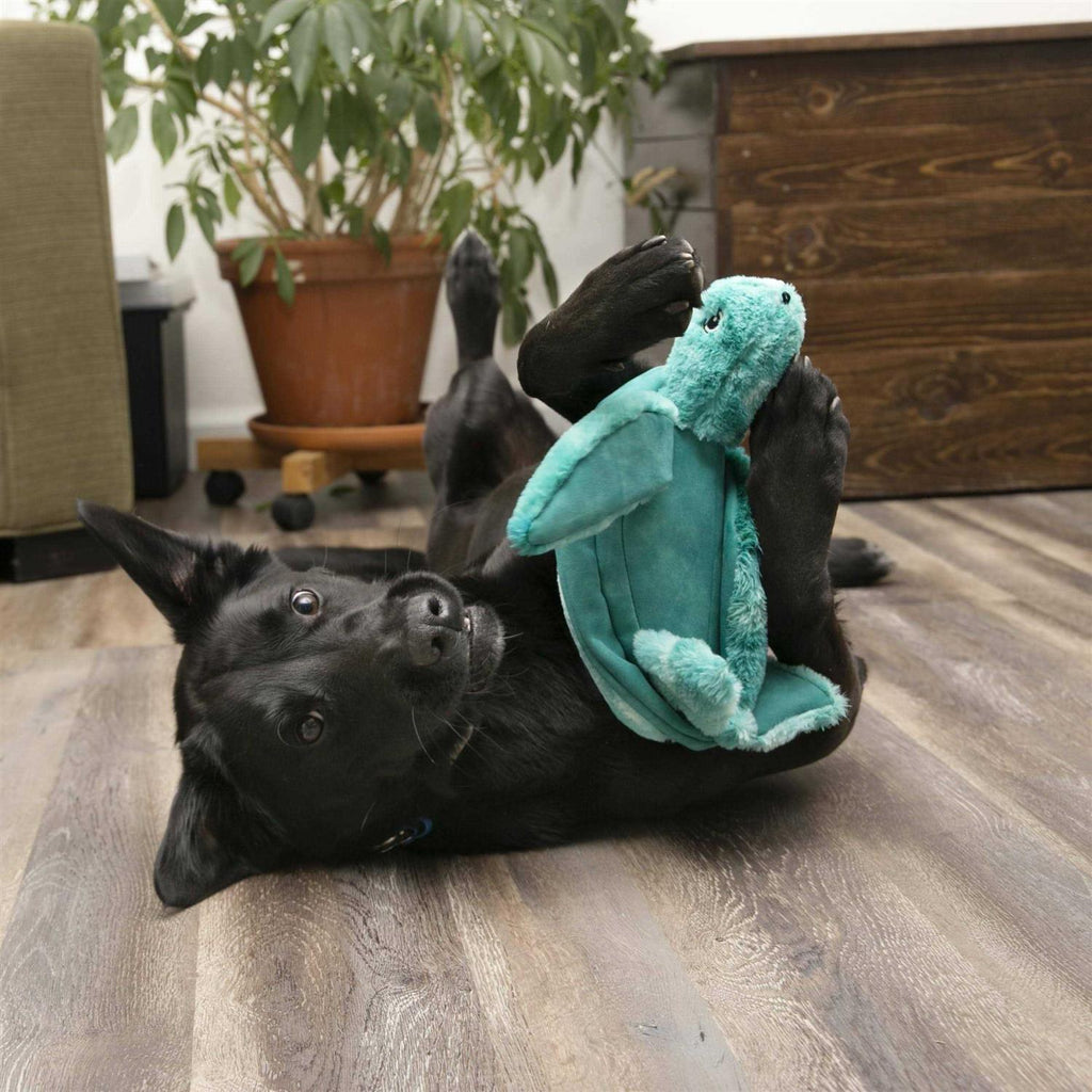 SoftSeas Turtle Dog Toy W9323
