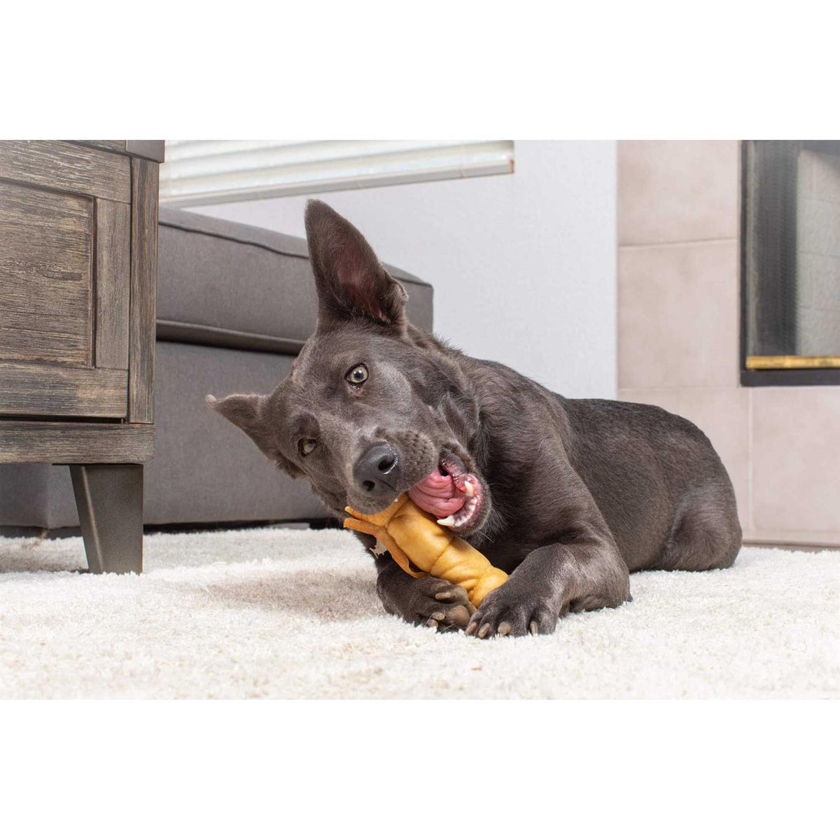 Water Buffalo Dog Chews 5 Pack E4736