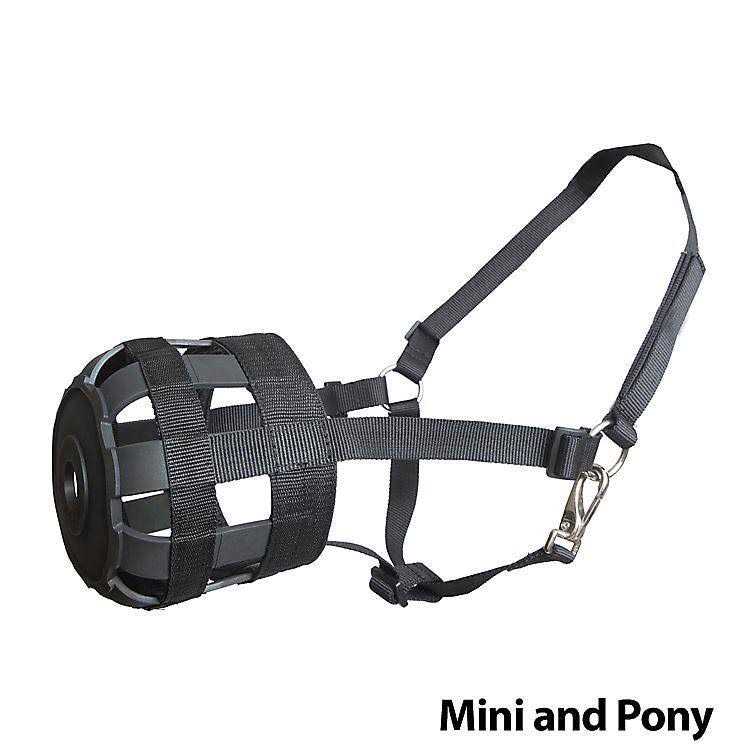 Nylon Halter Grazing Muzzle M169248