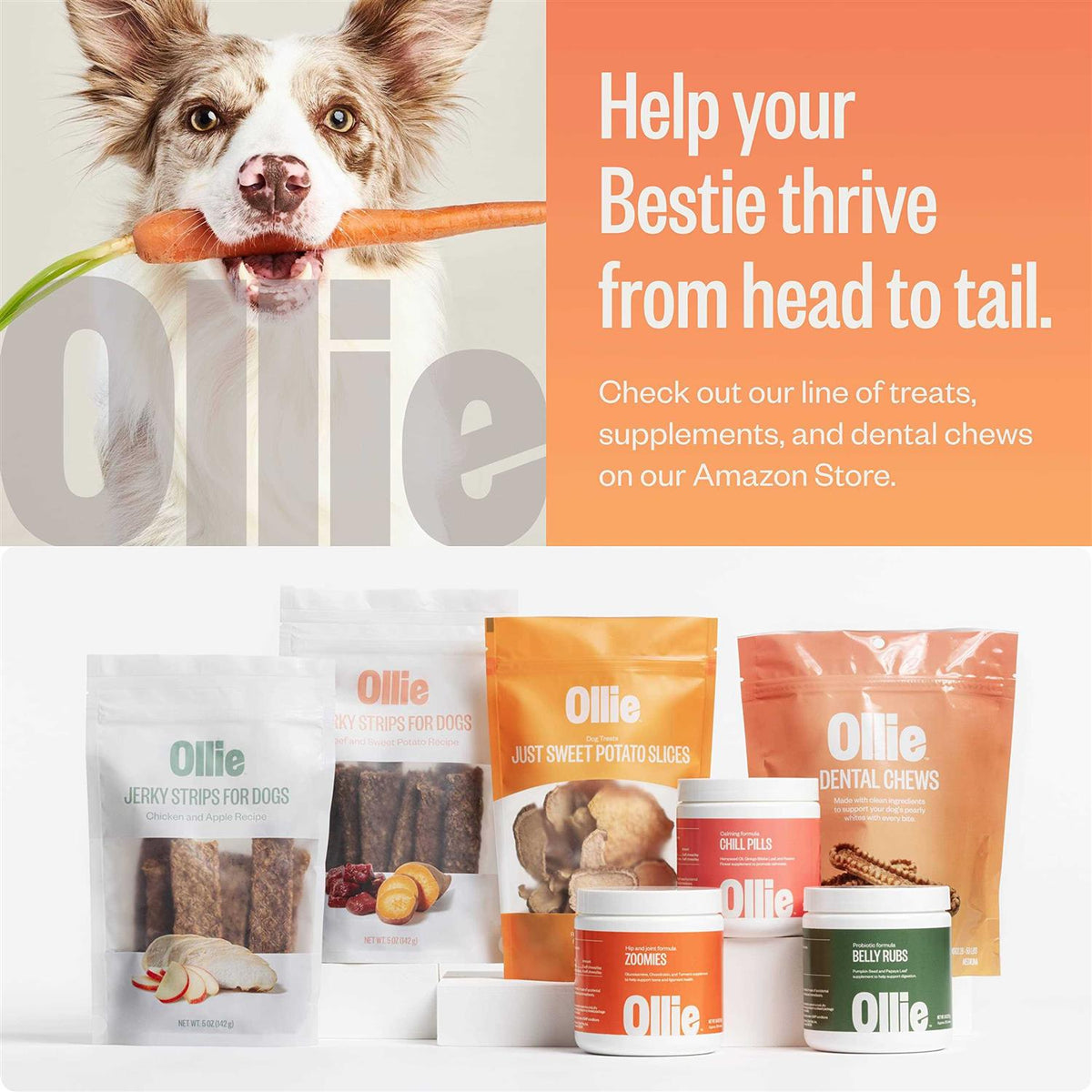 Dental Chews For Dogs K92418