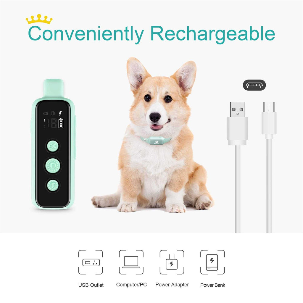 Waterproof Rechargeable Electric Dog Training Collar with Remote H662316