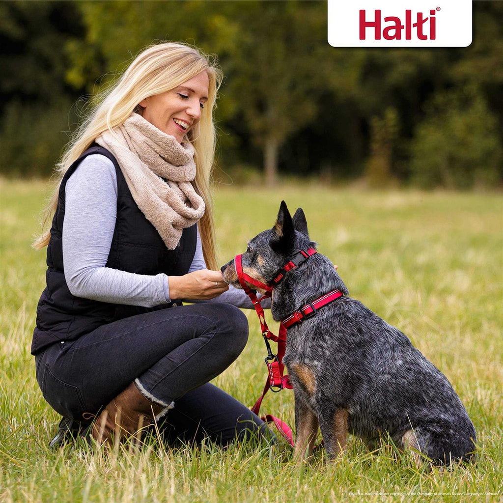 Dog Headcollar P126