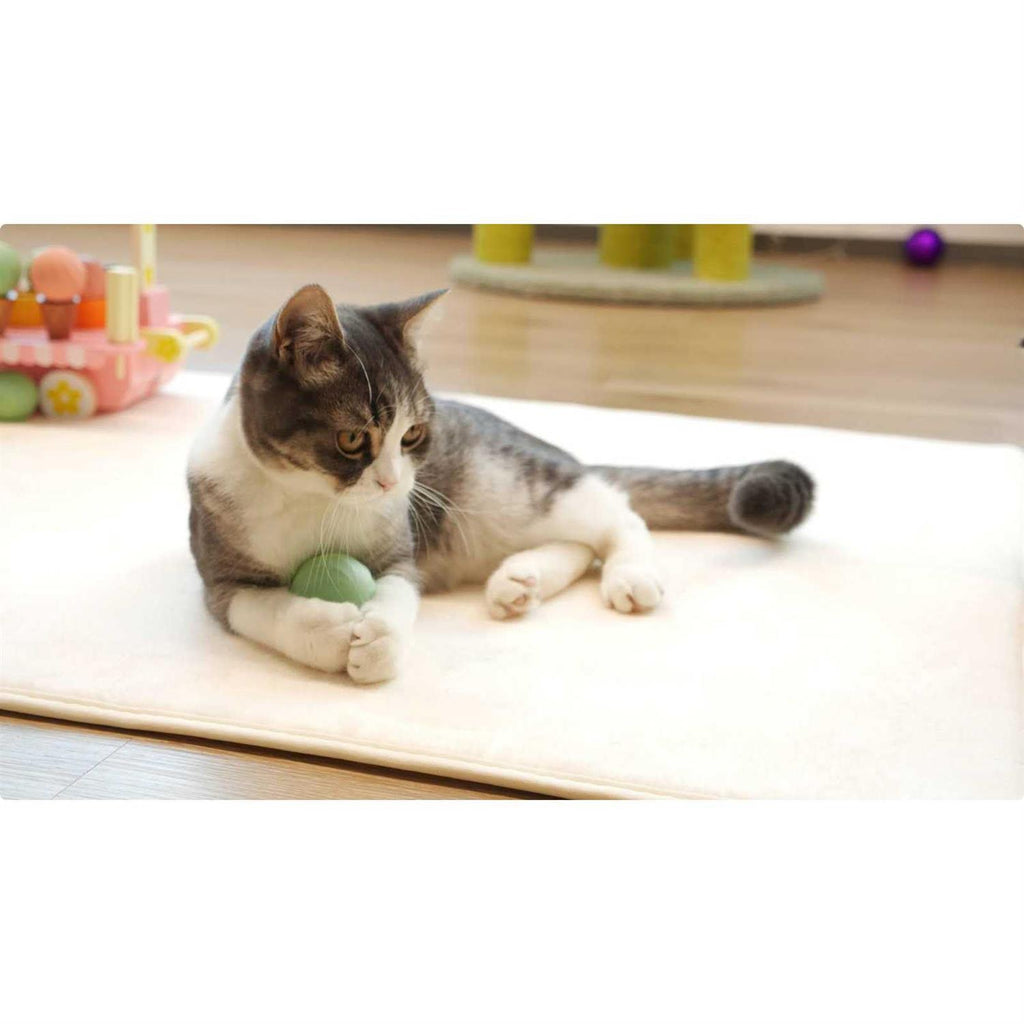 Interactive Cat Toy Ball W179536