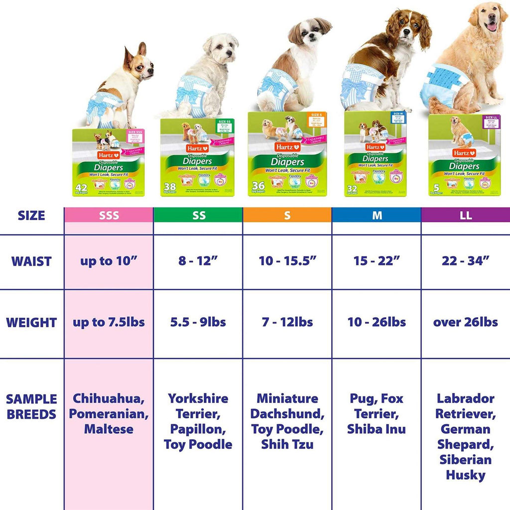 Disposable Dog Diapers C668792
